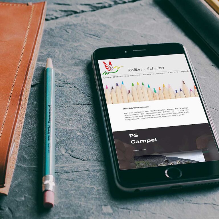 Webdesign Kolibri Schulen
